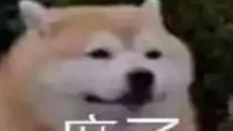 梅西擔任邁阿密國際隊長：馬蒂諾總教練證實任命